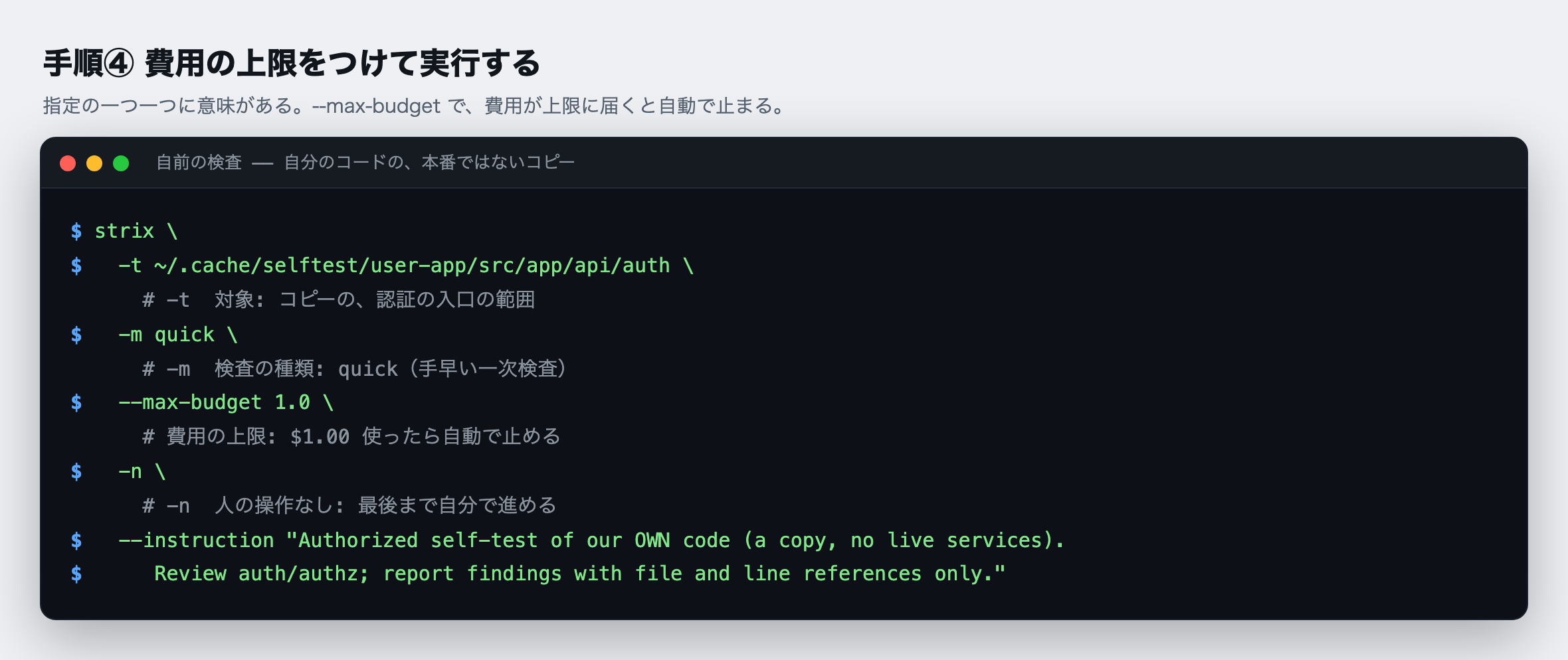 手順④:実行するコマンド。-t で対象(コピーの auth の範囲)、-m quick で手早い一次検査、--max-budget 1.0 で費用の上限($1.00 で自動停止)、-n で最後まで自動で進める、--instruction で「自社コードの許可された自己検査。結果だけを、該当箇所つきで報告」と伝える。